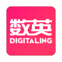 寂寞空庭春欲晚剧情电脑最新版